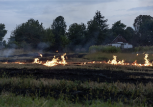 Canadá en emergencia por incendios forestales fuera de control